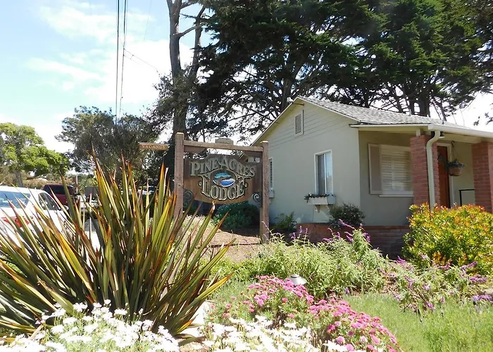 Hotel near College: Pine Acres Lodge